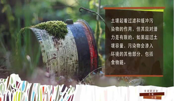 斯塔尔1.png