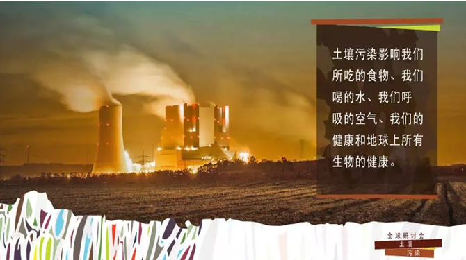 斯坦得2.png
